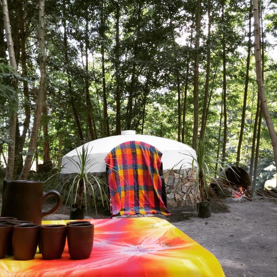 Cabanas Rucalhue Salto Del Laja Cabrero Eksteriør billede